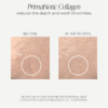 collagen for skin